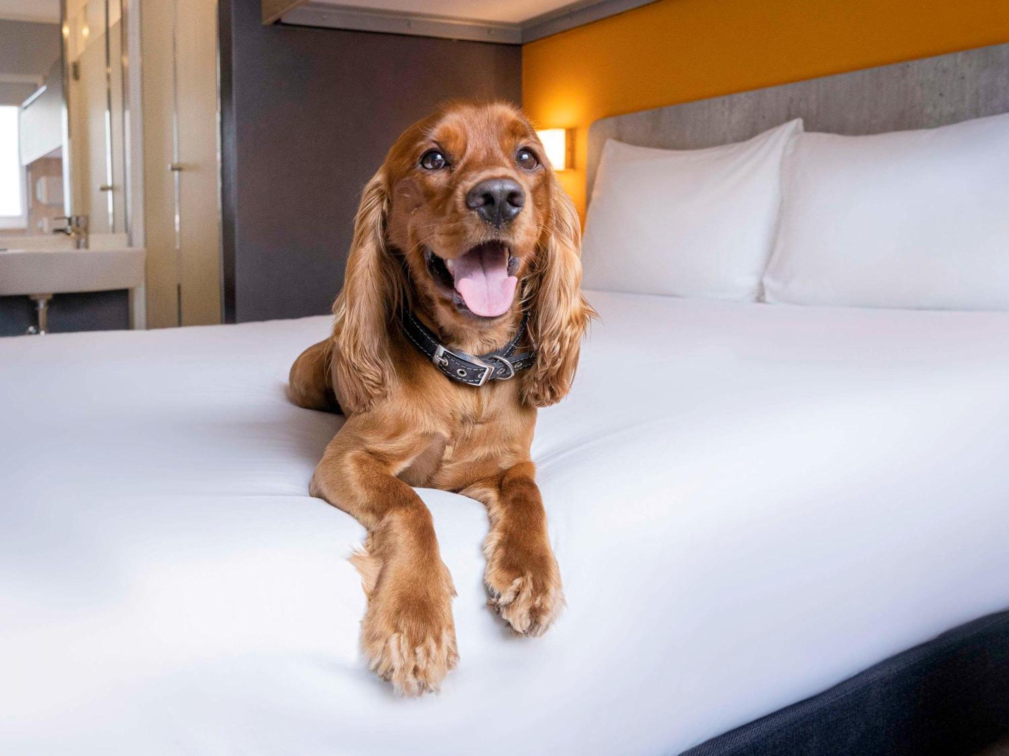 Ibis Budget Lima Miraflores Extérieur photo